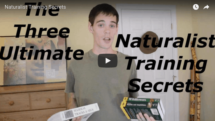 Naturalist Training Secrets